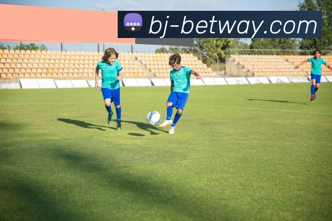 BETWAY必威官网APP 封面图